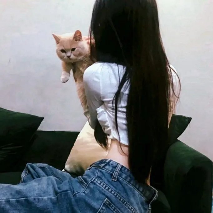 3月的狮子 后篇