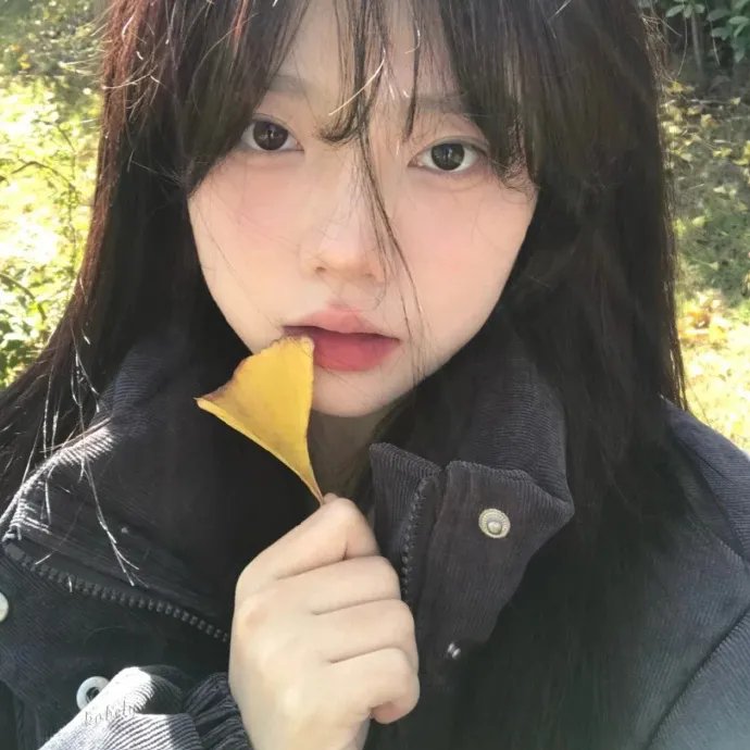 美术馆旁的动物园